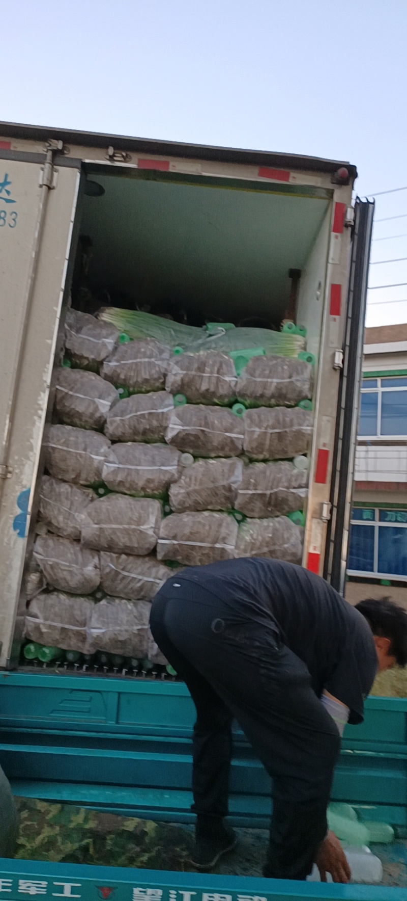 东北吉林怀德千万亩香葱基地现货供应质量保证全国代发