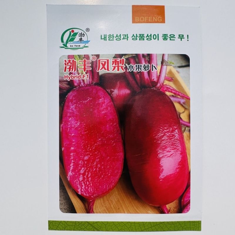 凤梨萝卜种子水果萝卜种子脆甜杂交红皮红肉萝卜种籽秋季特色