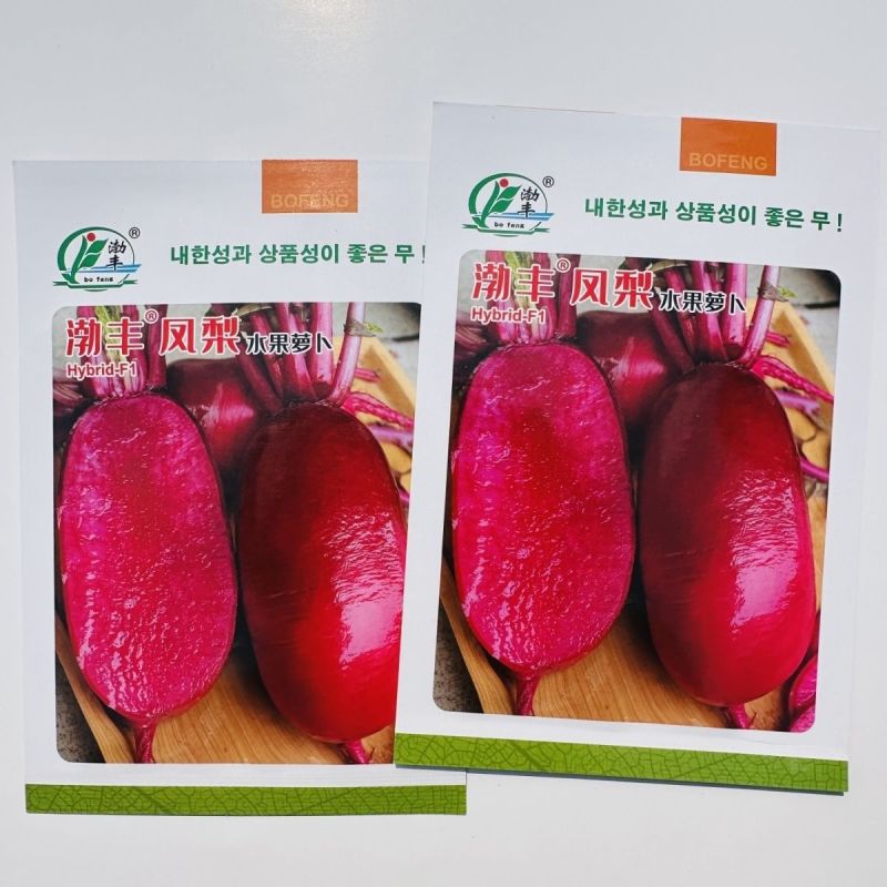 凤梨萝卜种子水果萝卜种子脆甜杂交红皮红肉萝卜种籽秋季特色