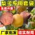 梨子套袋专用袋水果套袋果树防虫防鸟秋月梨晚秋黄金梨