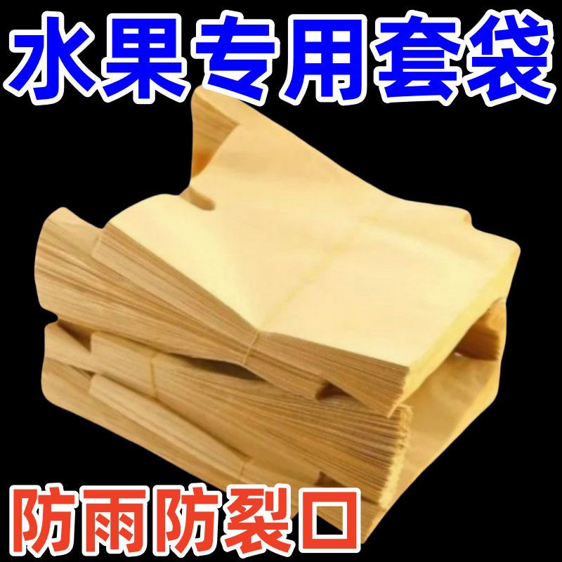 梨子套袋专用袋水果套袋果树防虫防鸟秋月梨晚秋黄金梨
