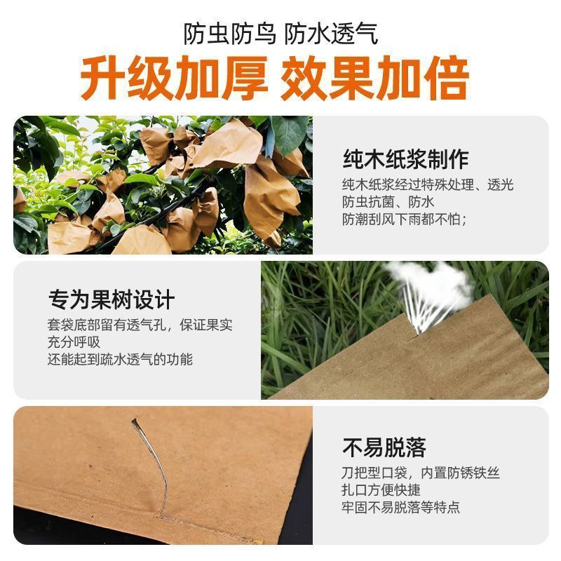 梨子套袋专用袋水果套袋果树防虫防鸟秋月梨晚秋黄金梨