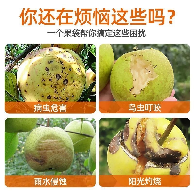 梨子套袋专用袋水果套袋果树防虫防鸟秋月梨晚秋黄金梨