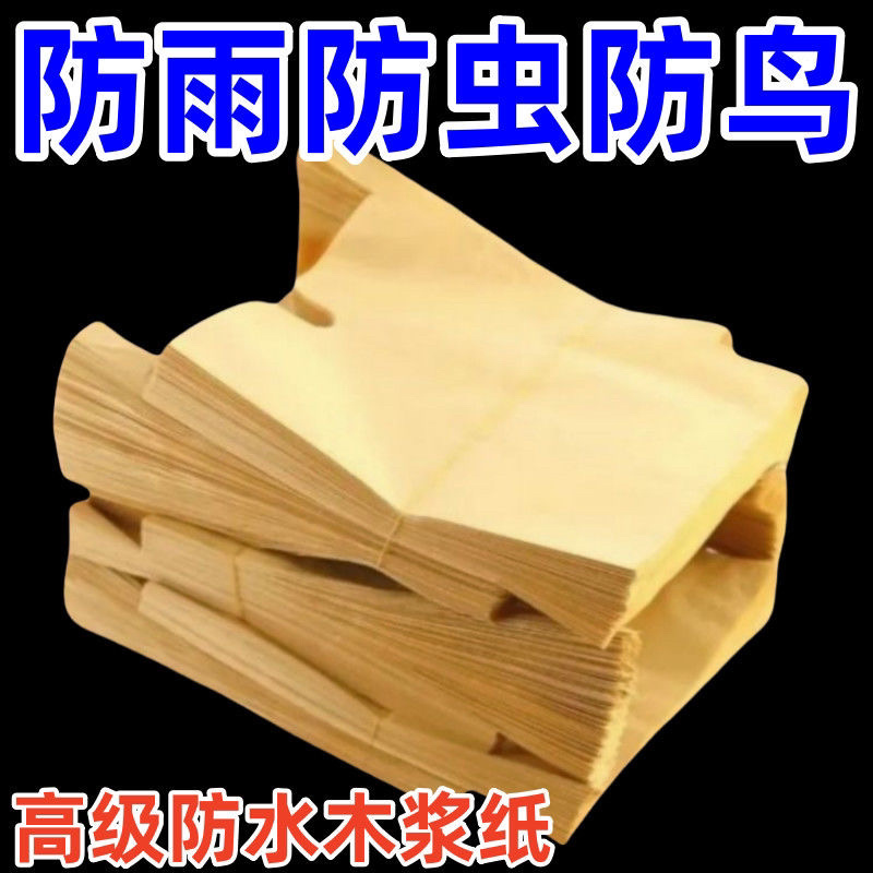 梨子套袋专用袋水果套袋果树防虫防鸟秋月梨晚秋黄金梨