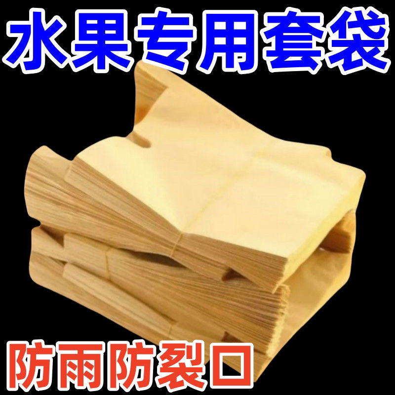 梨子套袋专用袋水果套袋果树防虫防鸟秋月梨晚秋黄金梨