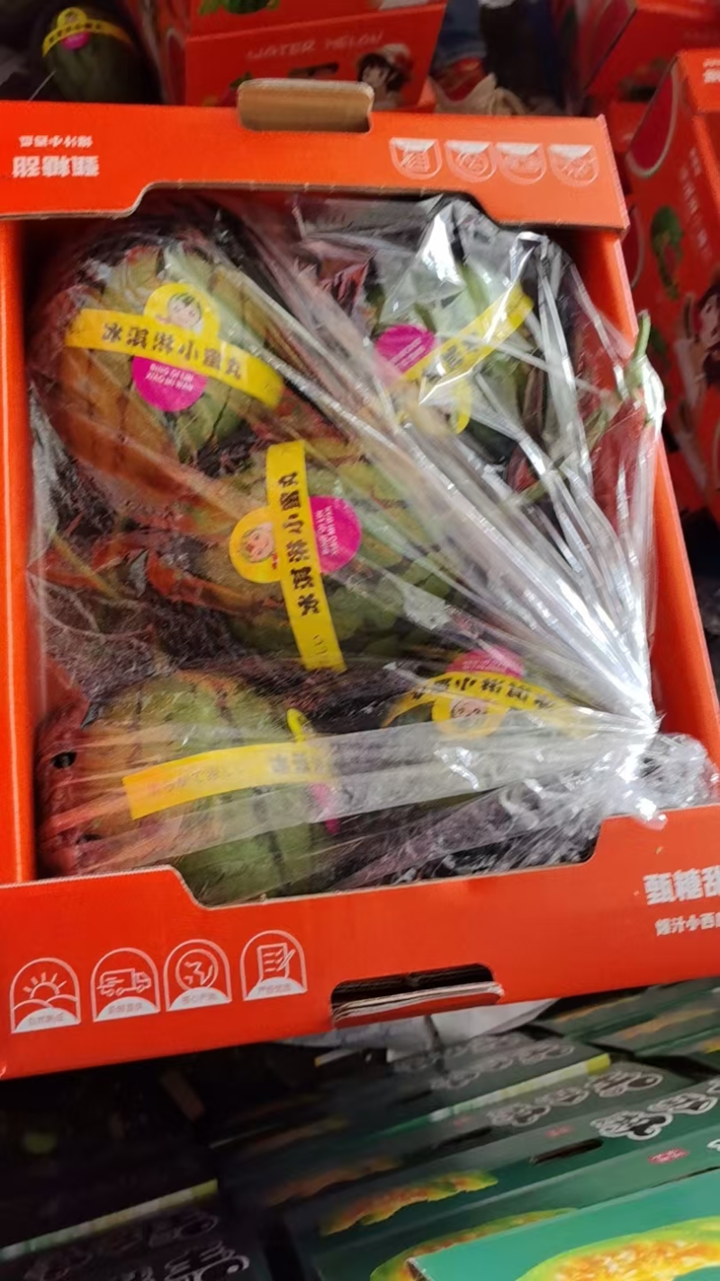 精品礼品西瓜冰淇淋口感小糖丸西瓜2k小西瓜大量上市