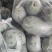 米冬瓜3-4斤一个