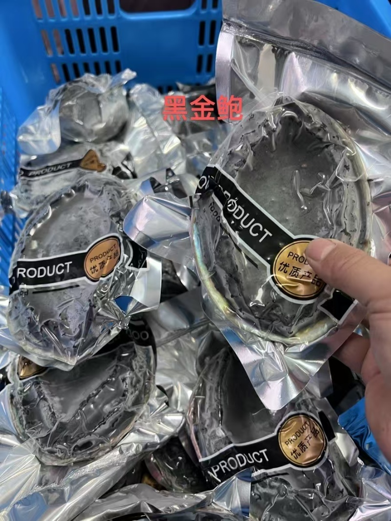 新西兰黑金鲍鲜活冷冻特大鲍鱼澳洲鲍鱼黄金鲍网红海鲜刺身级