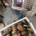 新西兰黑金鲍鲜活冷冻特大鲍鱼澳洲鲍鱼黄金鲍网红海鲜刺身级
