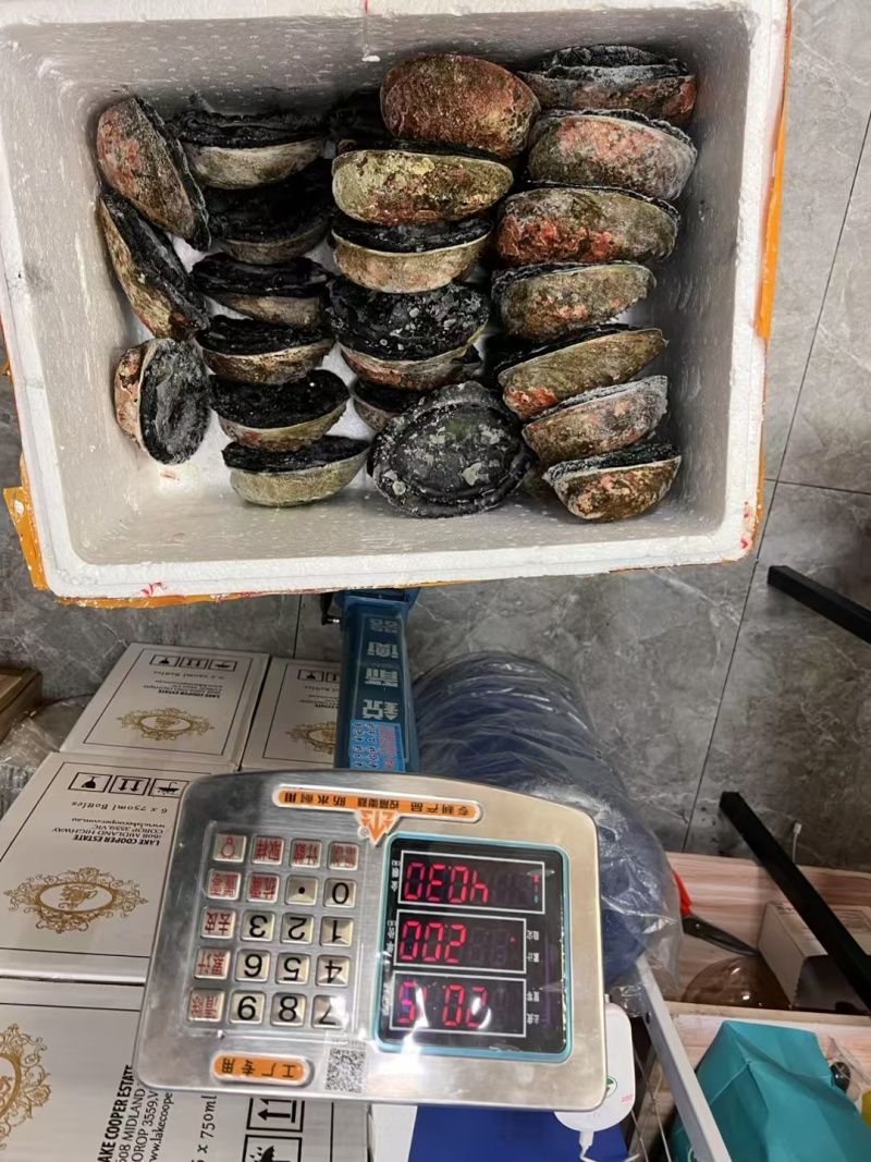 新西兰黑金鲍鲜活冷冻特大鲍鱼澳洲鲍鱼黄金鲍网红海鲜刺身级
