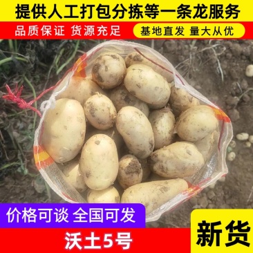 【推荐】湖北沃土黄心土豆，产地一手货源，规格齐全