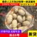 【推荐】湖北沃土黄心土豆，产地一手货源，规格齐全