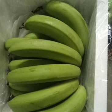 精品河口香蕉地头发货一件代发对接抖音快手拼多多淘宝京东