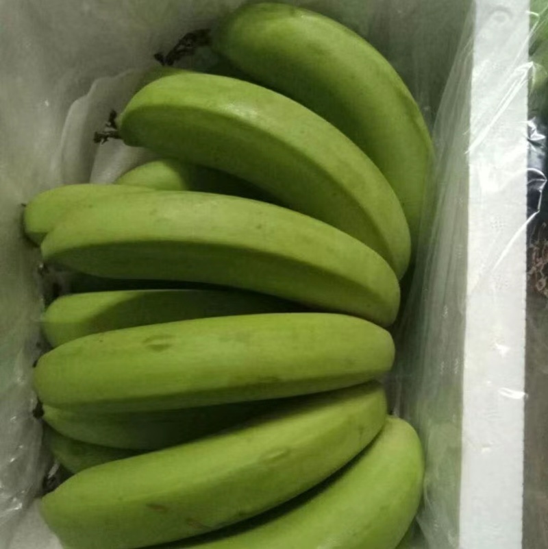 精品河口香蕉地头发货一件代发对接抖音快手拼多多淘宝京东