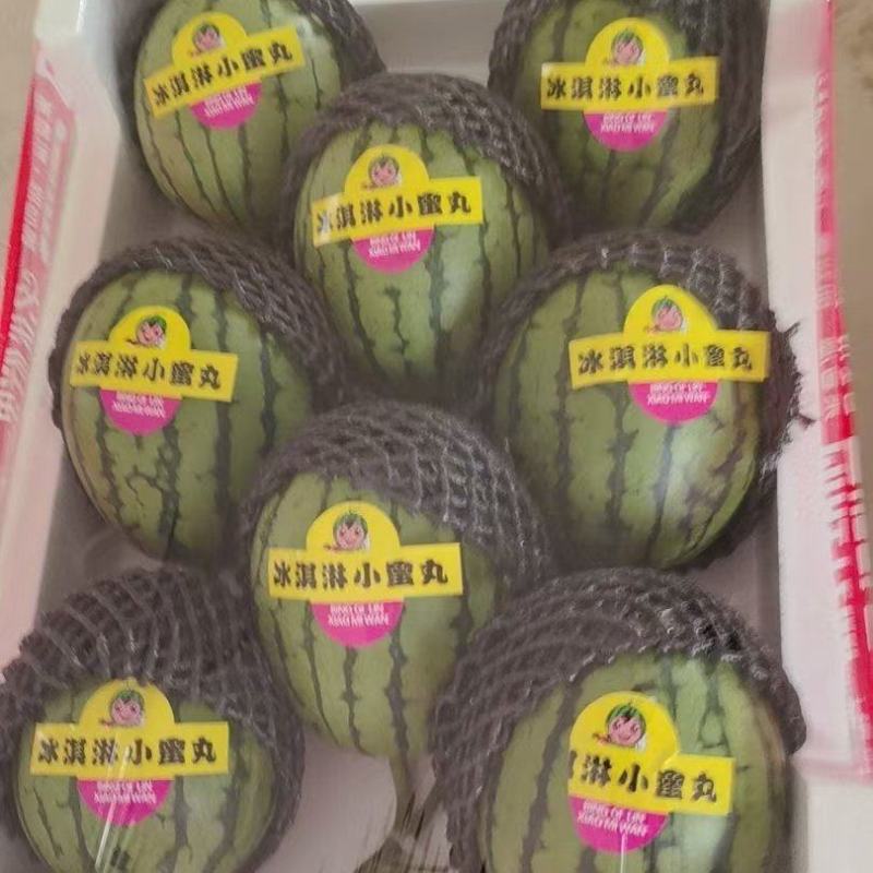 麒麟小吊瓜，2K西瓜精品礼品瓜产地直发品质保证