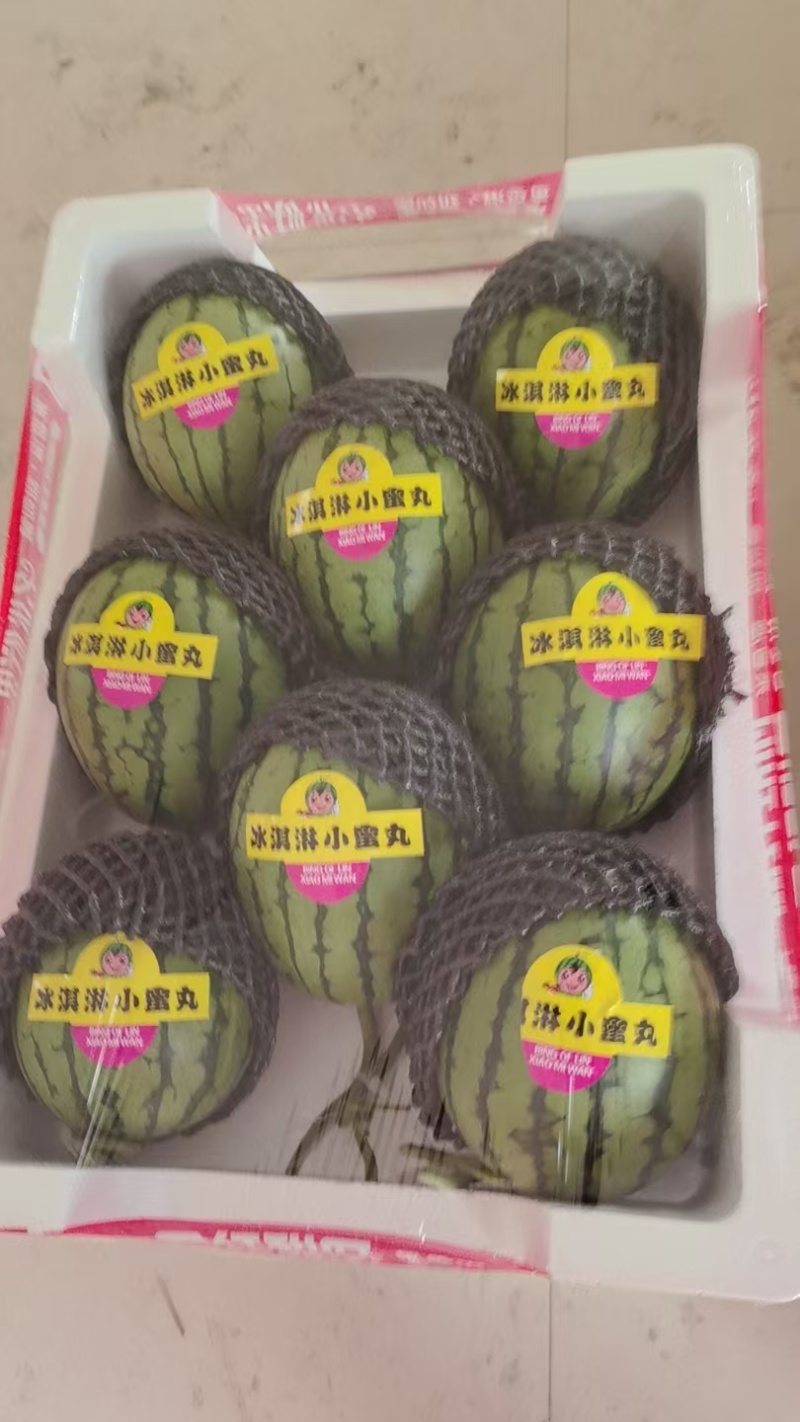 麒麟小吊瓜，2K西瓜精品礼品瓜产地直发品质保证