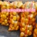 橘黄穿绳土豆编织袋厂家直发量大从优欢迎来电咨询合作