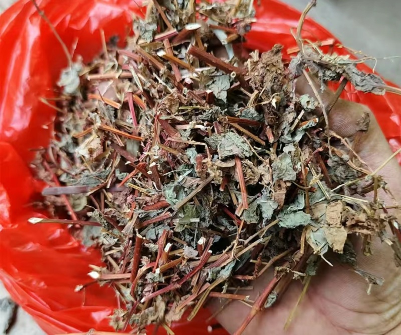杠板归别名蛇倒退山间野生无硫无霉自然凉晒