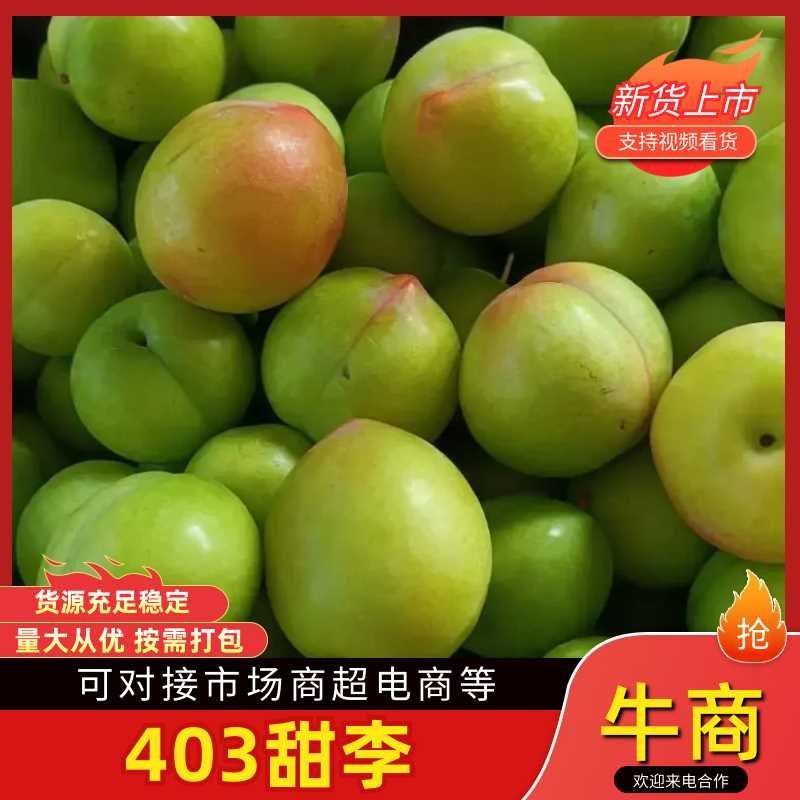 精品河南403甜李子货源充足量大从优诚信经营致电联系