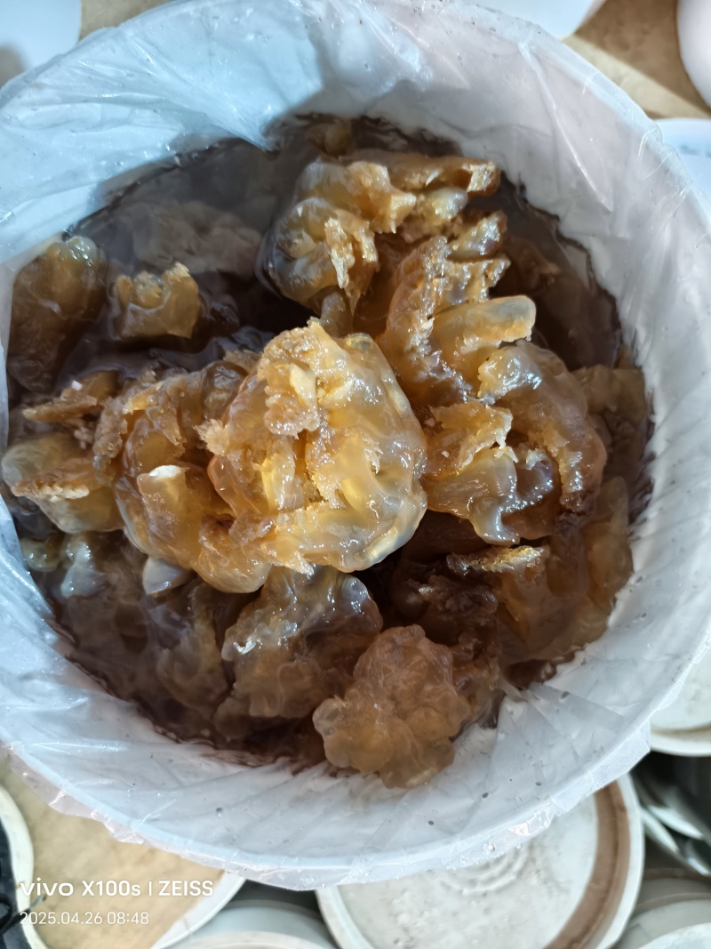 印尼头，个头大，口感好，出菜率高，价格亲民