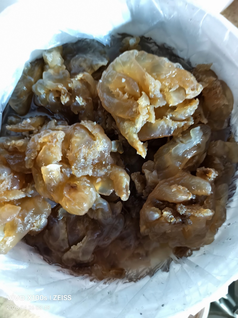 印尼头，个头大，口感好，出菜率高，价格亲民