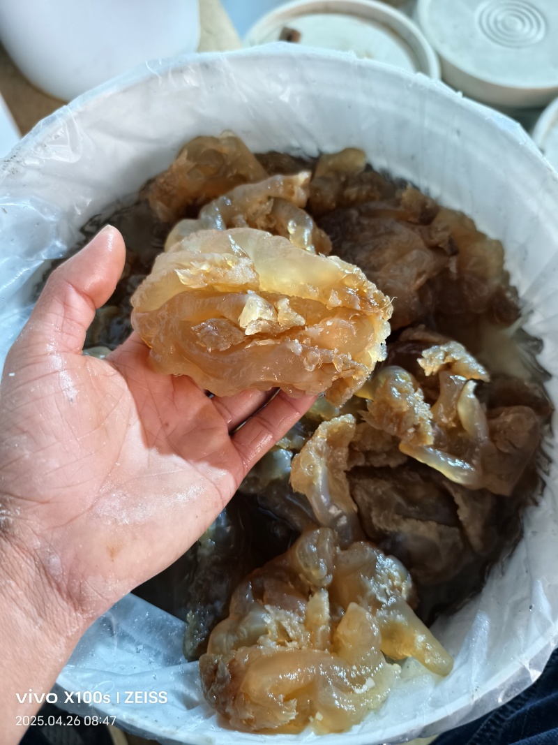 印尼头，个头大，口感好，出菜率高，价格亲民