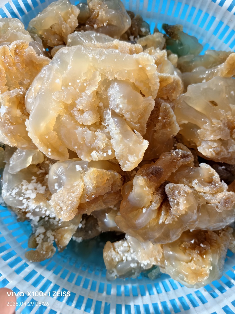 印尼头，个头大，口感好，出菜率高，价格亲民