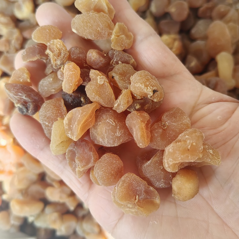 土贝母批发价格