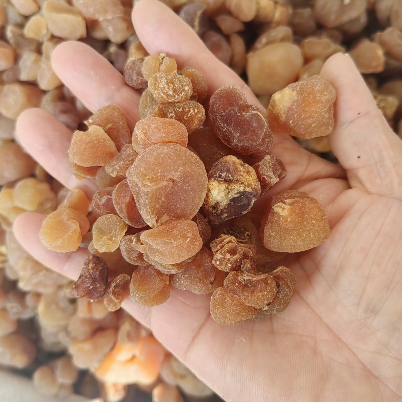 土贝母批发价格