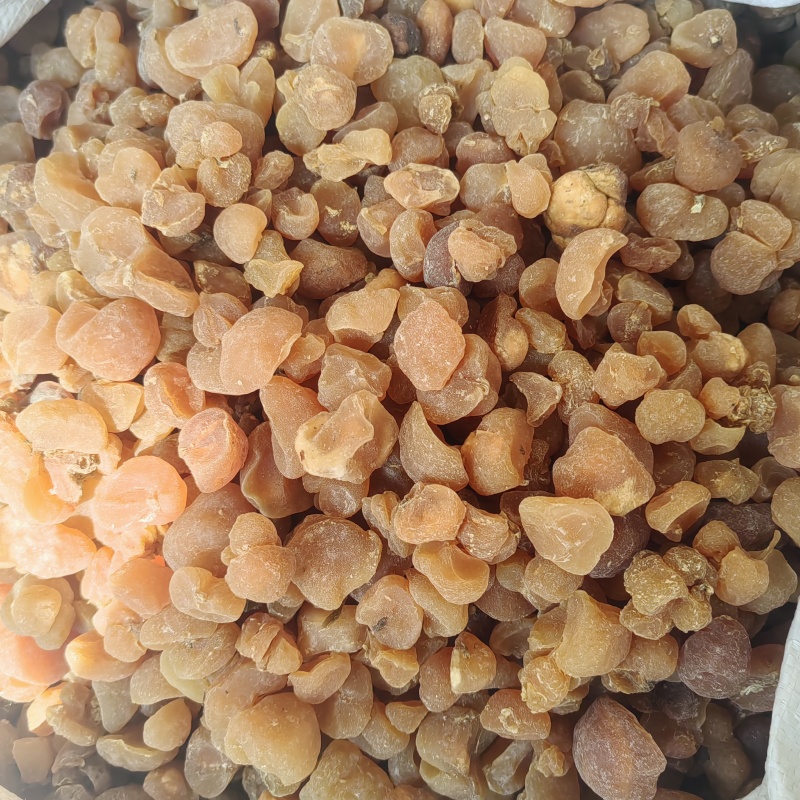 土贝母批发价格