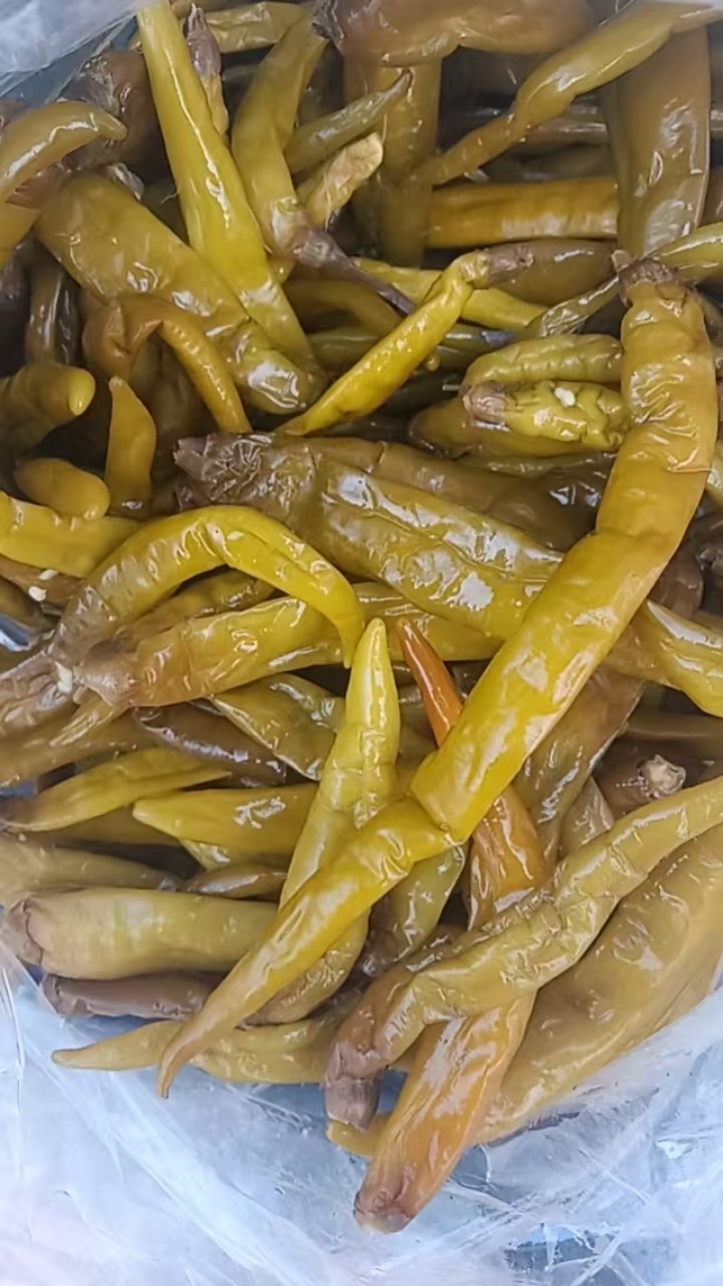 酸豆角半成品土池子酱豆角腌制豆角半成品酱青杭椒青线椒红