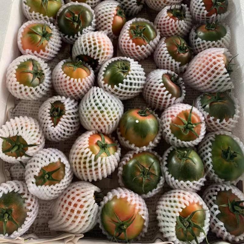 高品质草莓番茄铁皮柿子全国各地均有种植基地常年供应