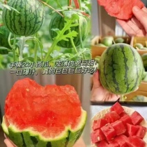 【实力】河北保定全美2K小吊瓜西瓜产地直销量大从优可视频