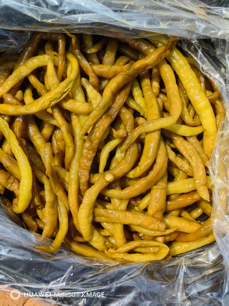 杂碎辣椒青红半成品辣椒酱成品半成品线椒菜椒羊角红半成品厂