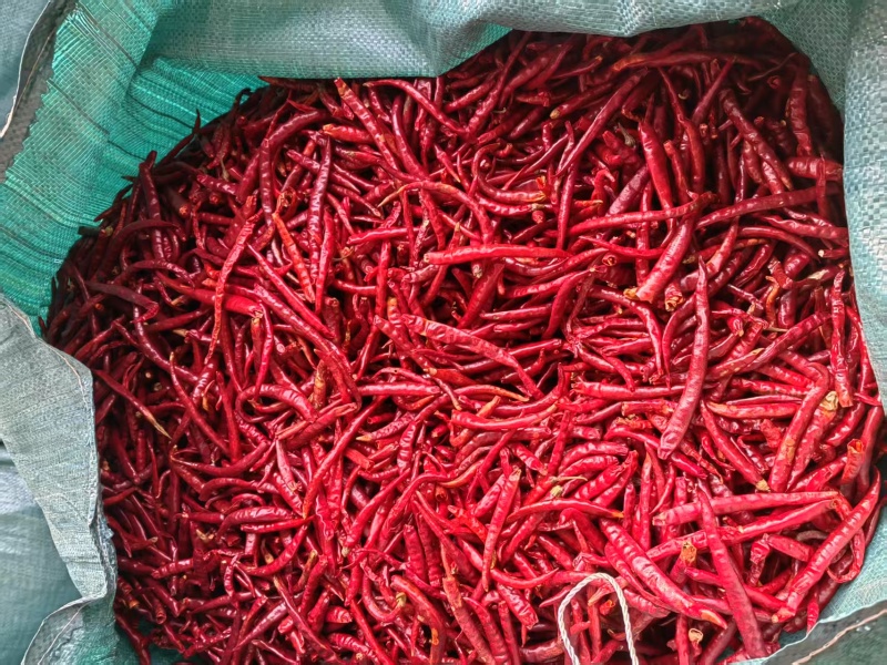 杂碎辣椒青红半成品辣椒酱成品半成品线椒菜椒羊角红半成品厂