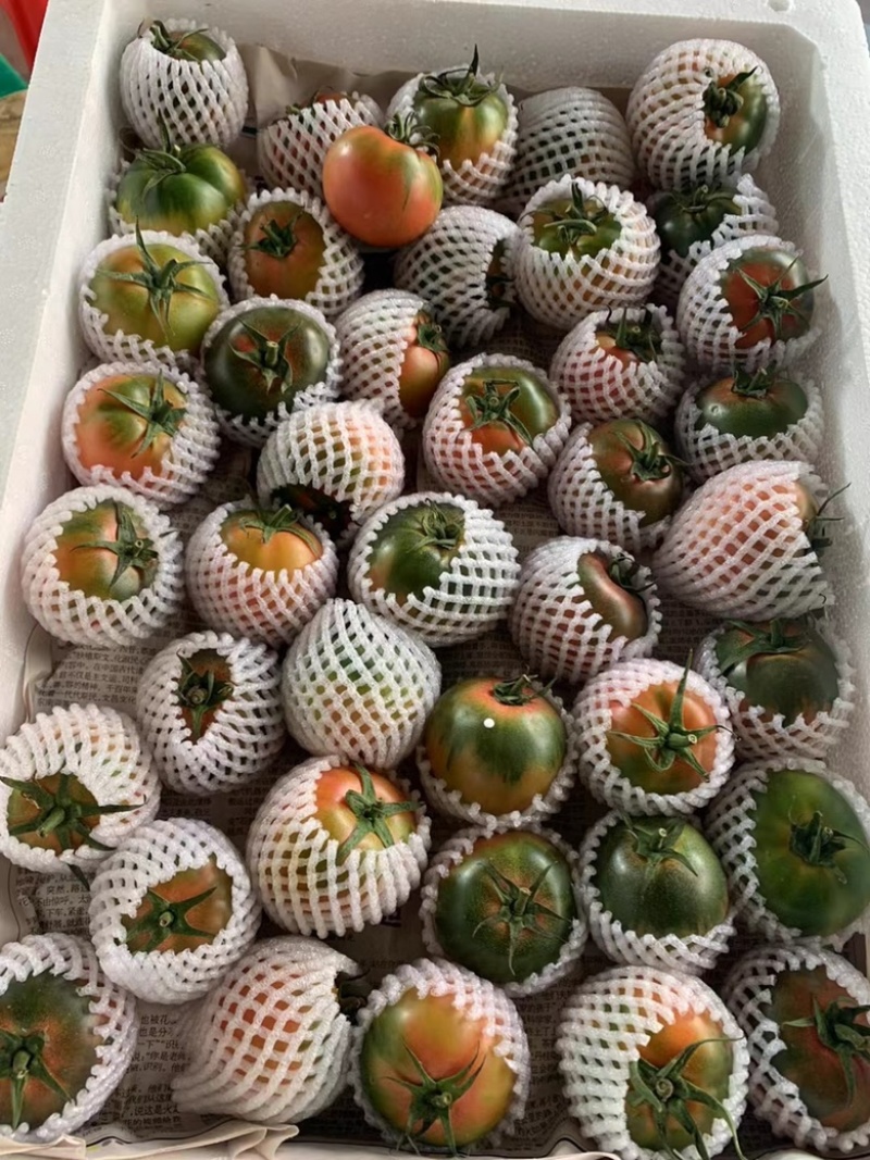 高品质草莓番茄铁皮柿子全国各地均有种植基地常年供应