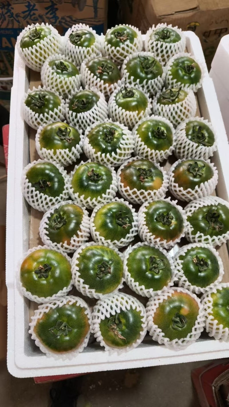 高品质草莓番茄铁皮柿子全国各地均有种植基地常年供应