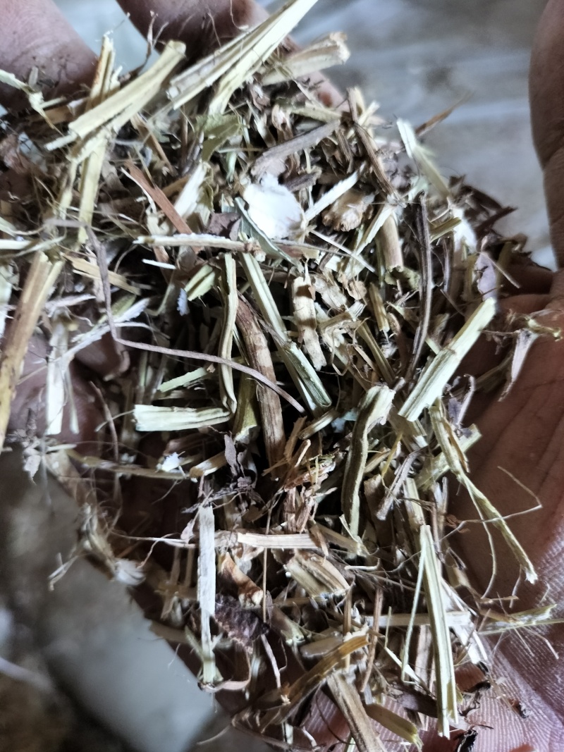 花生秧草