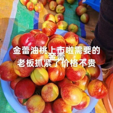 金蕾油桃味道嘎嘎甜