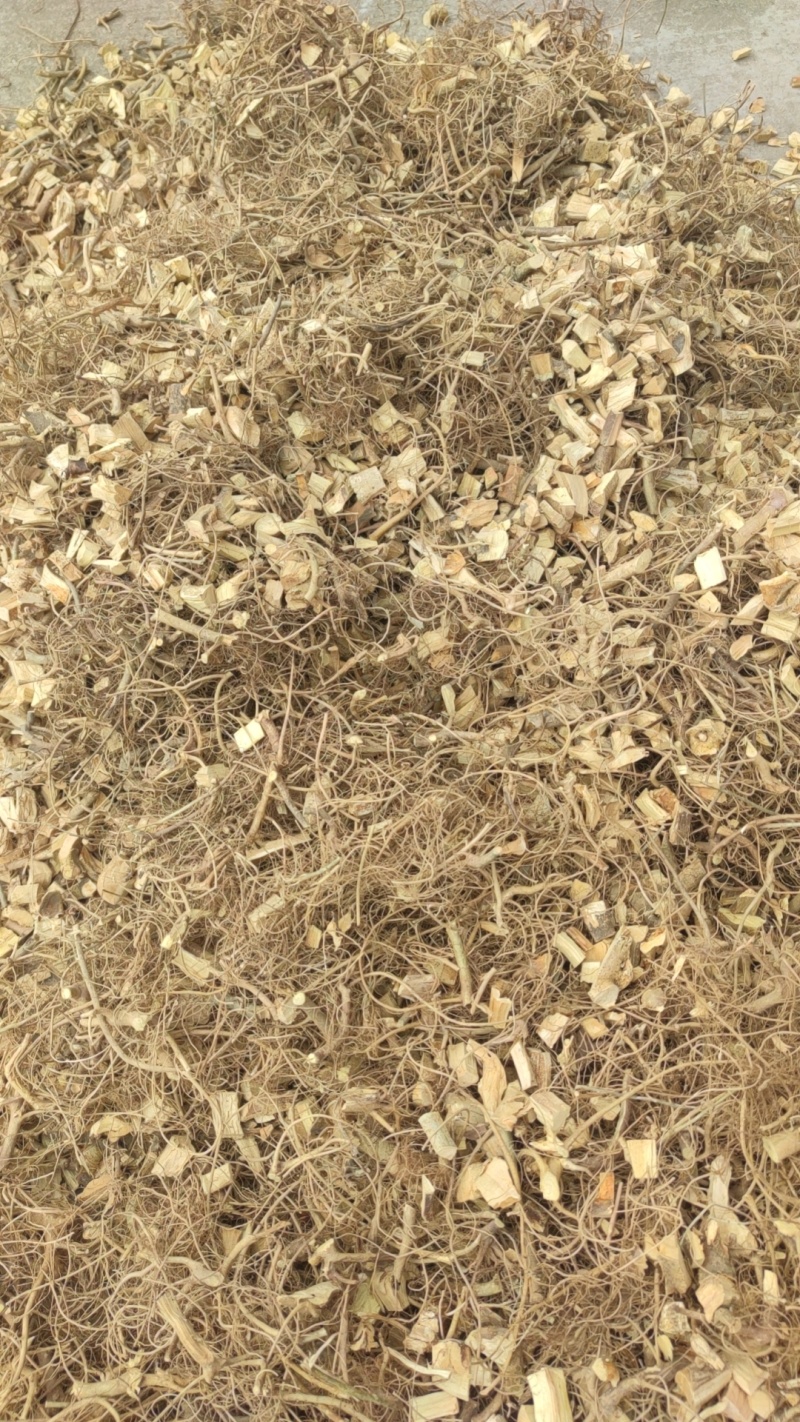 白花牛奶根小扎把