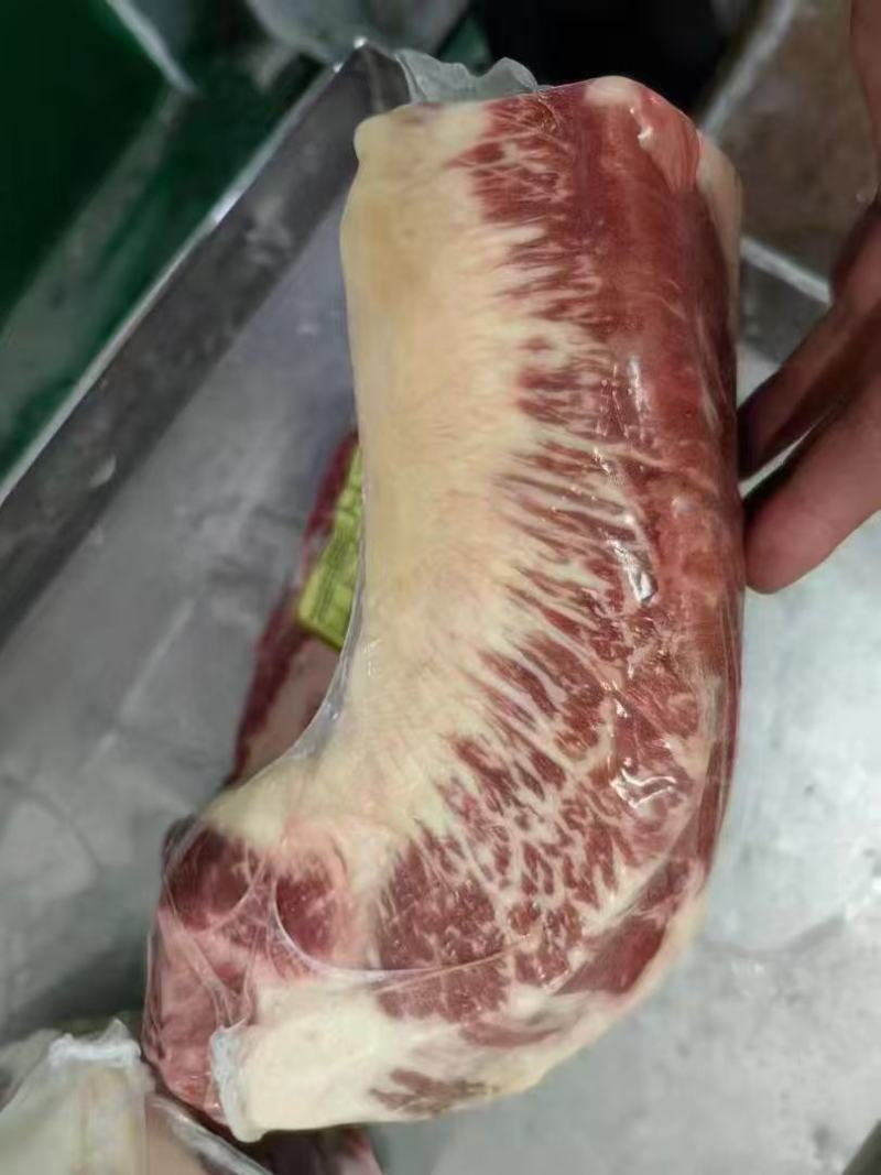 胸口肥牛，胶原肥牛，精品谷饲纯干原切，涮烤煎必备热销产品