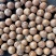 电商货，夏威夷果，做拼多多非常适合，需要的老板赶紧联系我