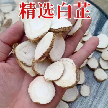 白芷正宗白芷片除腥香料卤料卤味料卤菜香料白芷斜片圆片白芷商用
