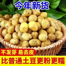 湖北马尔科土豆大量上市,商超电商正常供应，量大从优。