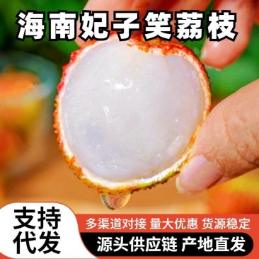 【一件代发】海南妃子笑荔枝一件代发接直播电商团购