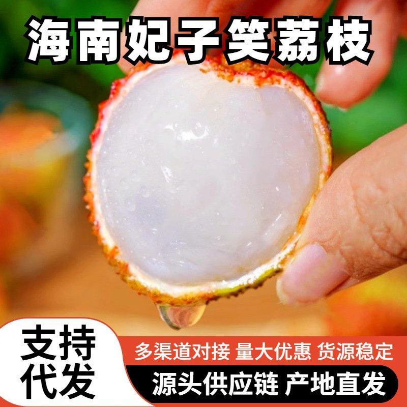 【一件代发】海南妃子笑荔枝一件代发接直播电商团购