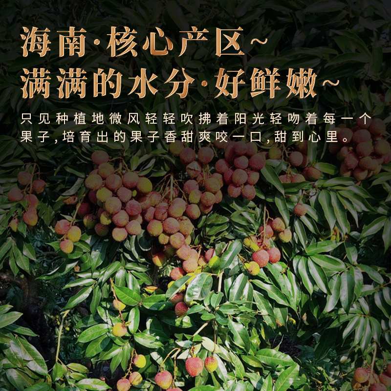 【一件代发】海南妃子笑荔枝一件代发接直播电商团购