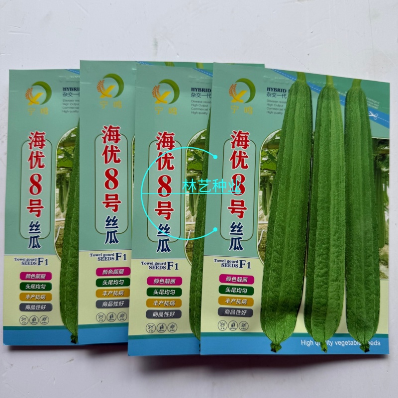 海优8号大花点丝瓜种子耐热丰产长丝瓜种子头尾均匀颜色好看