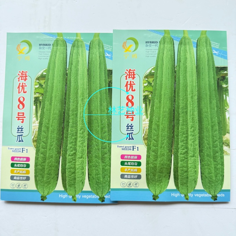 海优8号大花点丝瓜种子耐热丰产长丝瓜种子头尾均匀颜色好看