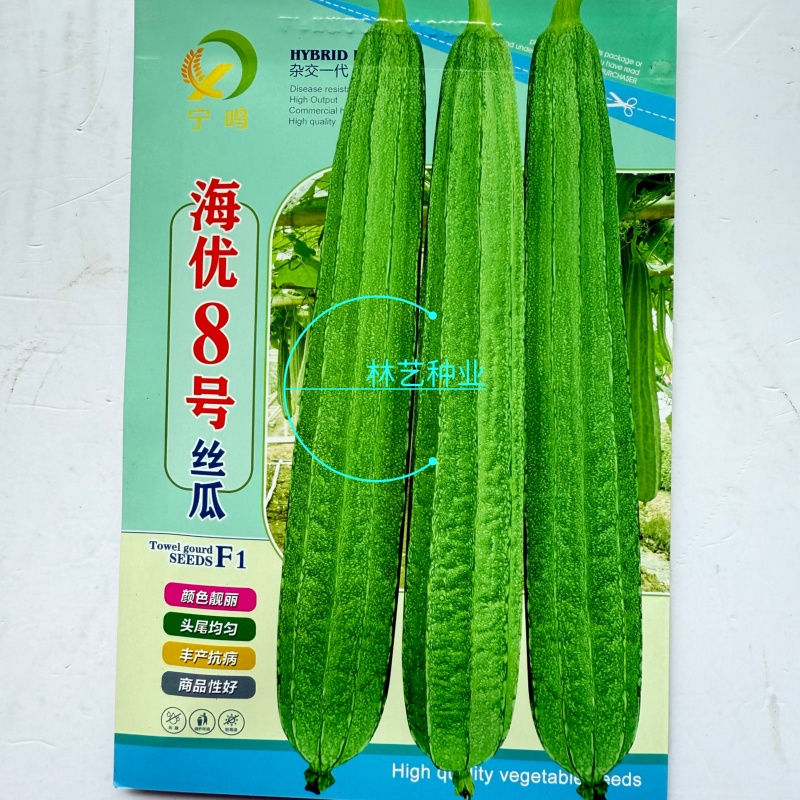 海优8号大花点丝瓜种子耐热丰产长丝瓜种子头尾均匀颜色好看